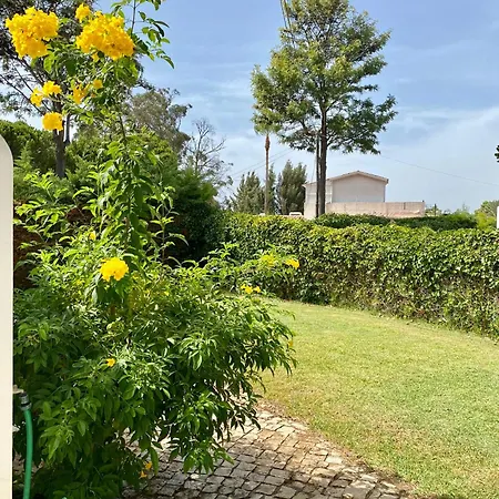 Villa Zen - Beautiful Private Pool-Heating Option, Hot Tub, Beautiful Garden Albufeira Exterior photo