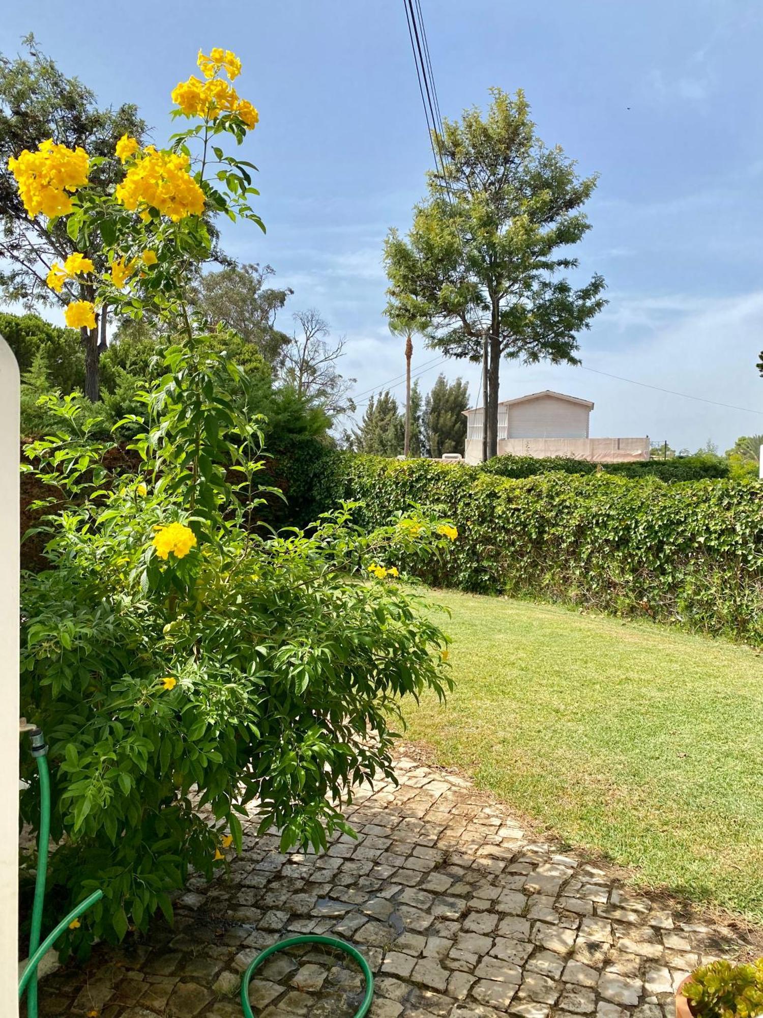 Zen - Beautiful Private Pool-heating Option, Hot Tub, Beautiful Garden * Albufeira